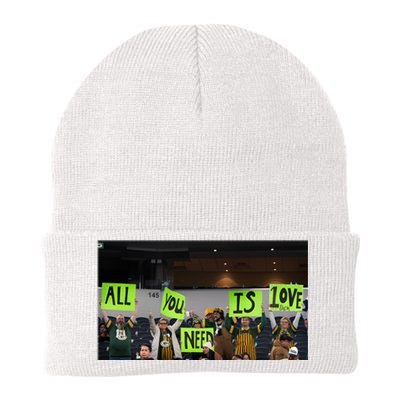 All You Need Is Love And His Pack Green Bay Packer Knit Cap Winter Beanie