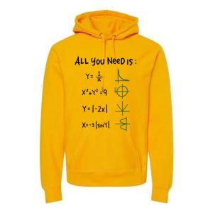 All You Need Is Love And Math Gift Premium Hoodie