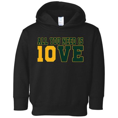 All You Need Is 10ve Funny Toddler Hoodie