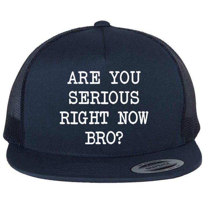 Are You Serious Right Now Bro? Flat Bill Trucker Hat