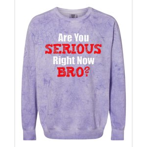 Are You Serious Right Now Bro Colorblast Crewneck Sweatshirt