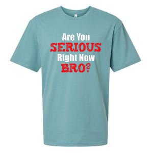 Are You Serious Right Now Bro Sueded Cloud Jersey T-Shirt