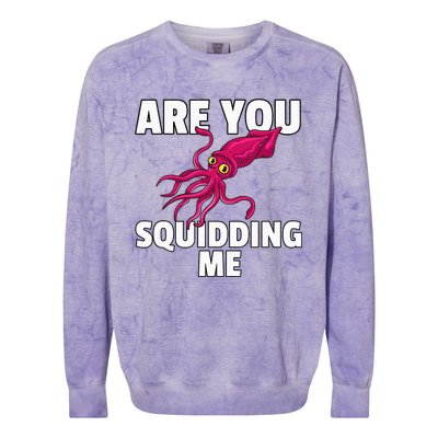 Are You Squidding Me Gift Squid Octopus Marine Biology Colorblast Crewneck Sweatshirt