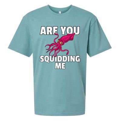 Are You Squidding Me Gift Squid Octopus Marine Biology Sueded Cloud Jersey T-Shirt