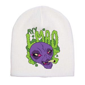 Ayy Lmao Marijuana Alien Short Acrylic Beanie