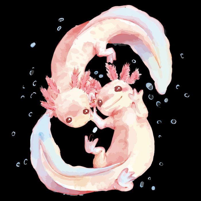 Axolotl Ying Yang Cropped Pullover Crew