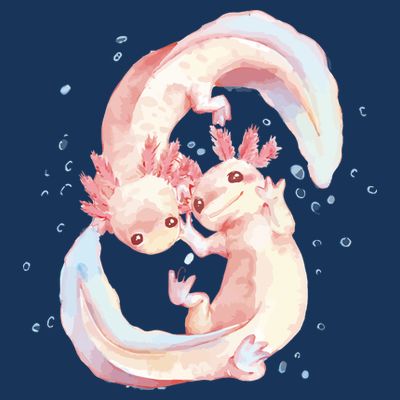 Axolotl Ying Yang T-Shirt