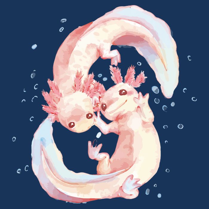 Axolotl Ying Yang T-Shirt