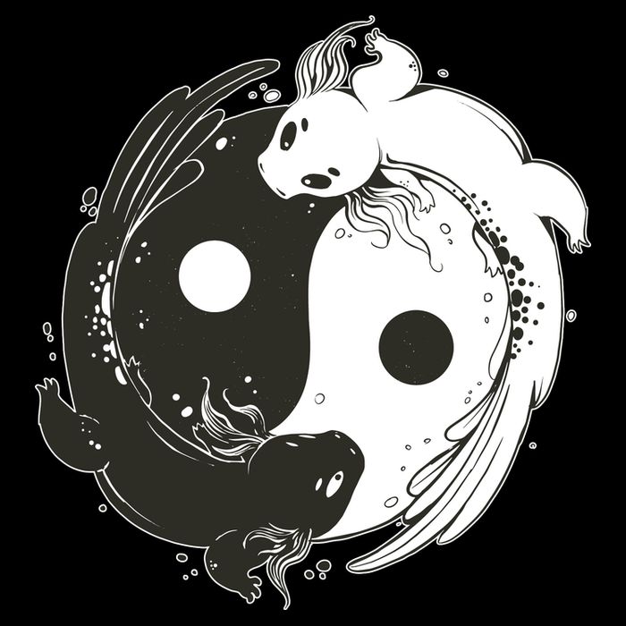 Axolotl Yin Yang 16 in Basic Backpack