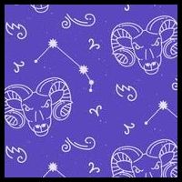 Aries Zodiac Astrology 16 in Basic Backpack