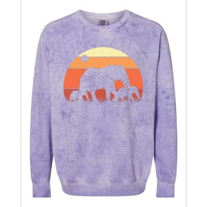 Africa Zoo Keeper Animal Family Retro Elephant Colorblast Crewneck Sweatshirt