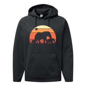 Africa Zoo Keeper Animal Family Retro Elephant Performance Fleece Hoodie