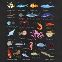 A Z Ocean Life Exploration Sea Creatures Alphabet Cool Comfort Performance Bucket Hat