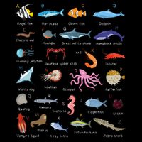 A Z Ocean Life Exploration Sea Creatures Alphabet 16 in Basic Backpack