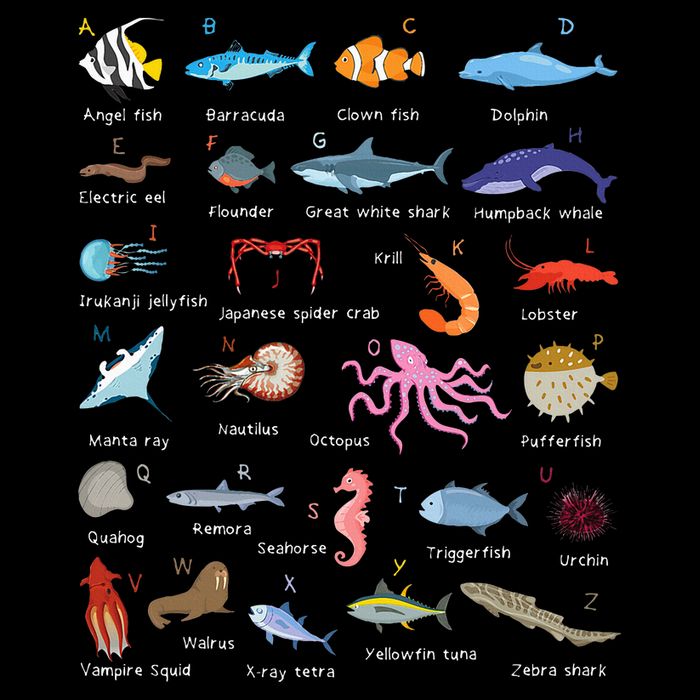 A Z Ocean Life Exploration Sea Creatures Alphabet 16 in Basic Backpack