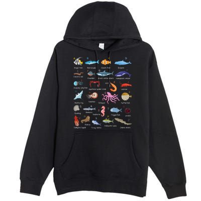 A Z Ocean Life Exploration Sea Creatures Alphabet Premium Pullover Hoodie