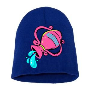 Aquarius Zodiac Sign January February Horoscope Gift Short Acrylic Beanie