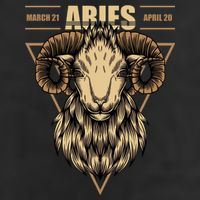 Aries Zodiac Sign Symbol Astrology Dates 25L Jumbo Tote