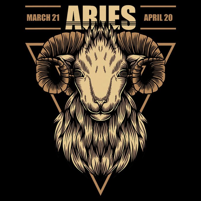 Aries Zodiac Sign Symbol Astrology Dates Cropped Pullover Crew