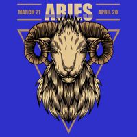 Aries Zodiac Sign Symbol Astrology Dates Long Sleeve Shirt