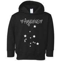 Aquarius Zodiac Sign Horoscope January February Birthday Toddler Hoodie