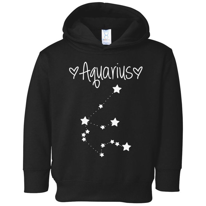 Aquarius Zodiac Sign Horoscope January February Birthday Toddler Hoodie