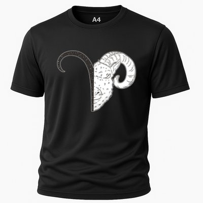 Aries Zodiac Symbol Birthday Gift Performance Shirt