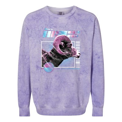 Aeries Zodiac Sign Colorblast Crewneck Sweatshirt