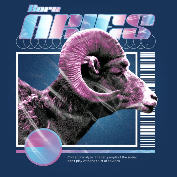 Aeries Zodiac Sign T-Shirt