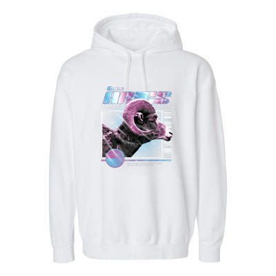 Aeries Zodiac Sign Garment-Dyed Fleece Hoodie