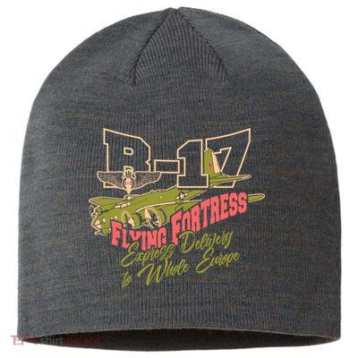 B 17 Flying Fortress Sustainable Beanie