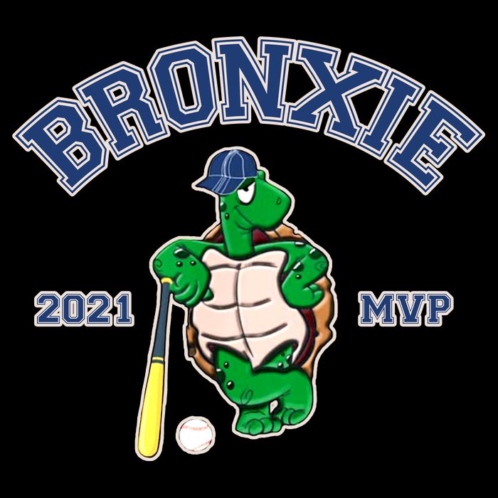 Bronxie 2021 MVP Baseball Turtle Logo Impact Tech Backpack