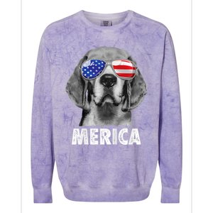 Beagle 4th Of July Merica Sunglasses Usa American Flag Colorblast Crewneck Sweatshirt