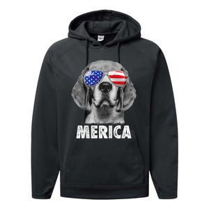 Beagle 4th Of July Merica Sunglasses Usa American Flag Performance Fleece Hoodie