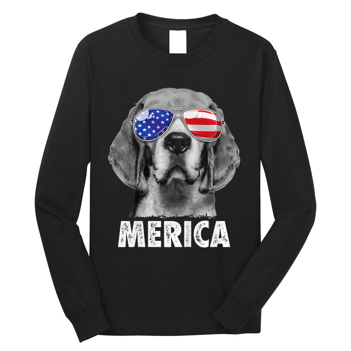 Beagle 4th Of July Merica Sunglasses Usa American Flag Long Sleeve Shirt