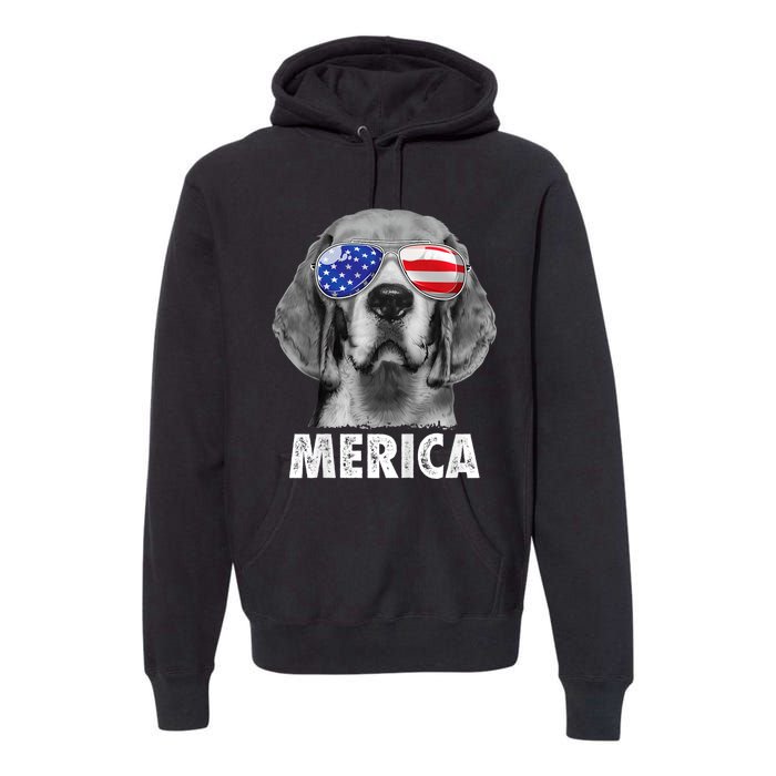 Beagle 4th Of July Merica Sunglasses Usa American Flag Premium Hoodie