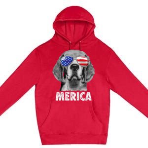 Beagle 4th Of July Merica Sunglasses Usa American Flag Premium Pullover Hoodie