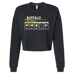 Buffalo 5 Days Forecast Cropped Pullover Crew