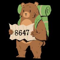Bear 86 47 Resist Subtle Anti Trump 8647 Save National Parks Womens T-Shirt