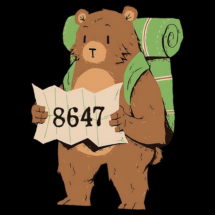 Bear 86 47 Resist Subtle Anti Trump 8647 Save National Parks Womens T-Shirt