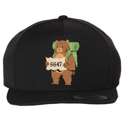 Bear 86 47 Resist Subtle Anti Trump 8647 Save National Parks Wool Snapback Cap