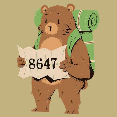 Bear 86 47 Resist Subtle Anti Trump 8647 Save National Parks T-Shirt