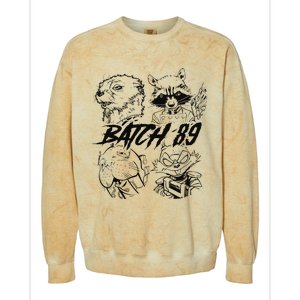 Batch 89 Rocket And Friends Lylla Teefs Floor Rocket Colorblast Crewneck Sweatshirt