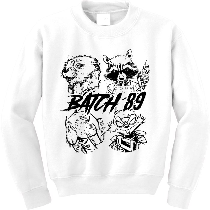 Batch 89 Rocket And Friends Lylla Teefs Floor Rocket Guardian Kids Sweatshirt