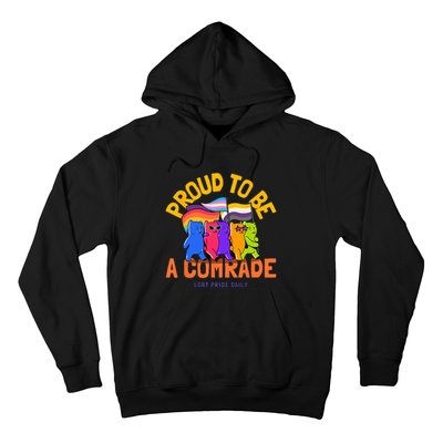 Being An Ally And Allyship LGBT Hoodie