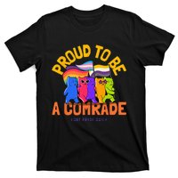 Being An Ally And Allyship LGBT T-Shirt