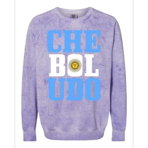 Boludo Argentina Argentinian Flag Pride Roots Funny Gift Colorblast Crewneck Sweatshirt