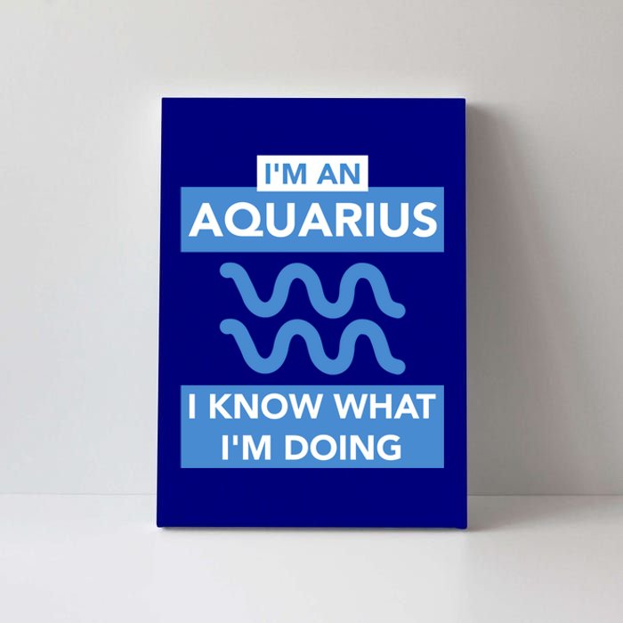 Birthday Aquarius Astrology Astrological Bday Gift Canvas