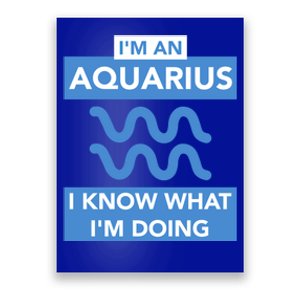 Birthday Aquarius Astrology Astrological Bday Gift Poster