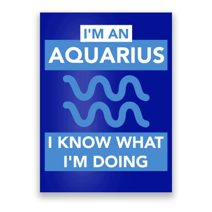 Birthday Aquarius Astrology Astrological Bday Gift Poster